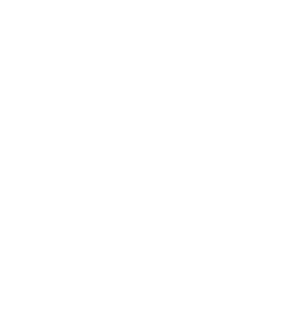 LITTLE BEAUX ARTS LOGO BLANC