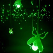 Fireflies Network, Ludo, Exposition Les Allumé.e.s 2022 Fireflies Network, Ludo, Exposition Les Allumé.e.s 2022 par Little Beaux-Arts et le Musée en Herbe