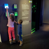 Fireflies Network, Ludo, Exposition Les Allumé.e.s 2022 par Little Beaux-Arts et le Musée en Herbe Fireflies Network, Ludo, Exposition Les Allumé.e.s 2022 par Little Beaux-Arts et le Musée en Herbe