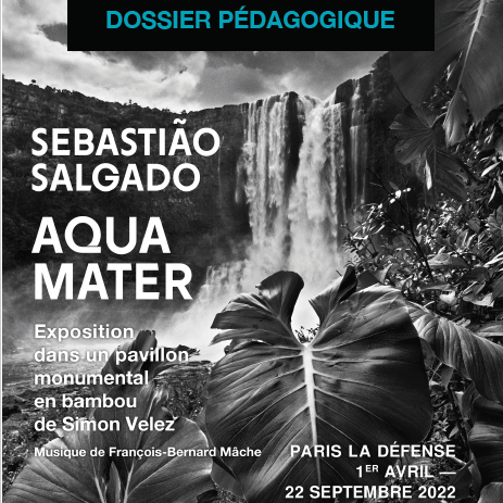 Exposition Sebastian Salgado, AquaMater - Dossier pédagogique réalisé par Little Beaux-Arts